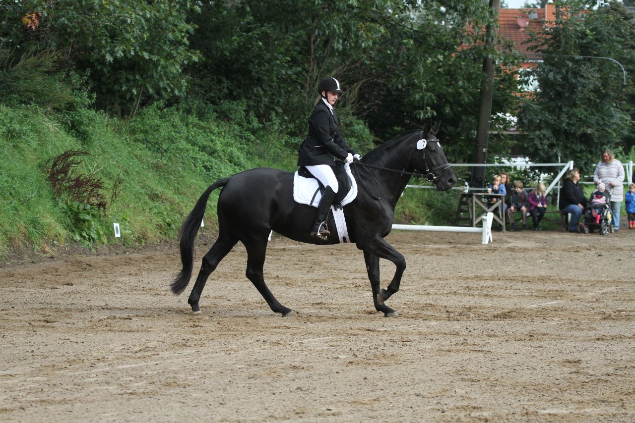 Bild 93 - WBO-Turnier am 18.9.11